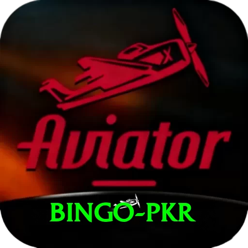 Bingo PKR Pro1 v1.0.8 - 2