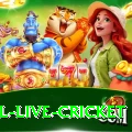 bpl live cricket Gaming VIP