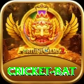 cricket bat - Live Extreme