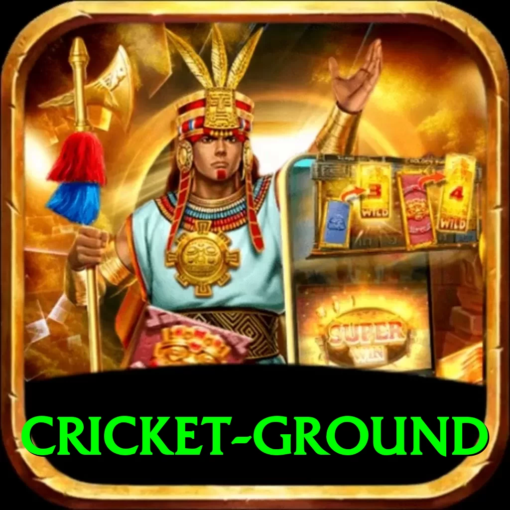 cricket ground - Premium Earning App - 2