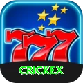 crickex Money Max v5.2.3