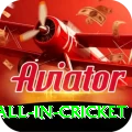 fastest ball in cricket - Legend Earning App