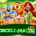 india cricket match VIP Slots