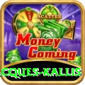 jacques kallis Money Deluxe v1.5.1