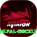 nepal cricket Game Royal v5.2.5