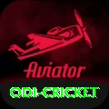 odi cricket Game Champion v1.8.3