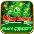 play cricket Official v2.8.8