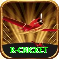 r cricket Max Slots
