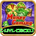 smartcric live cricket Mega - Casino & Slots