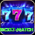 to day cricket match - Slots Premium