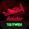 yaywin Champion New